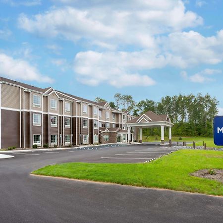 Microtel Inn & Suites By Wyndham Amsterdam Ny מראה חיצוני תמונה